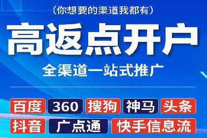 充值返点机制在社交平台的应用案例